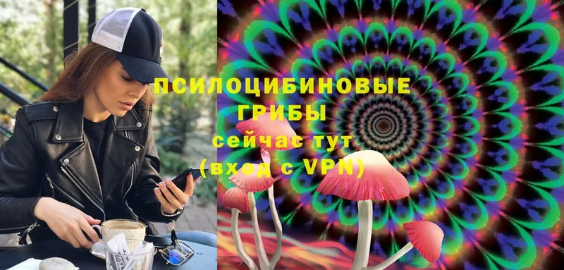 магазин продажи наркотиков  Сатка  Псилоцибиновые грибы MAGIC MUSHROOMS 